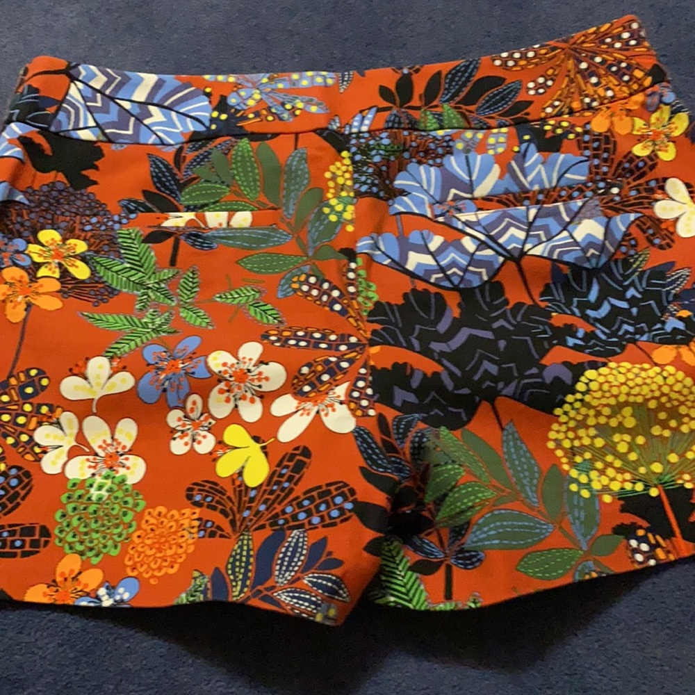 Loft Shorts - Picture 3 of 5